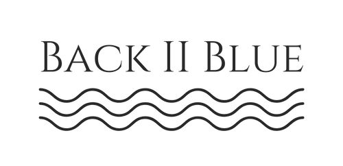 Back 2 Blue